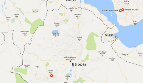 L'Etiopia, la patria del caffè